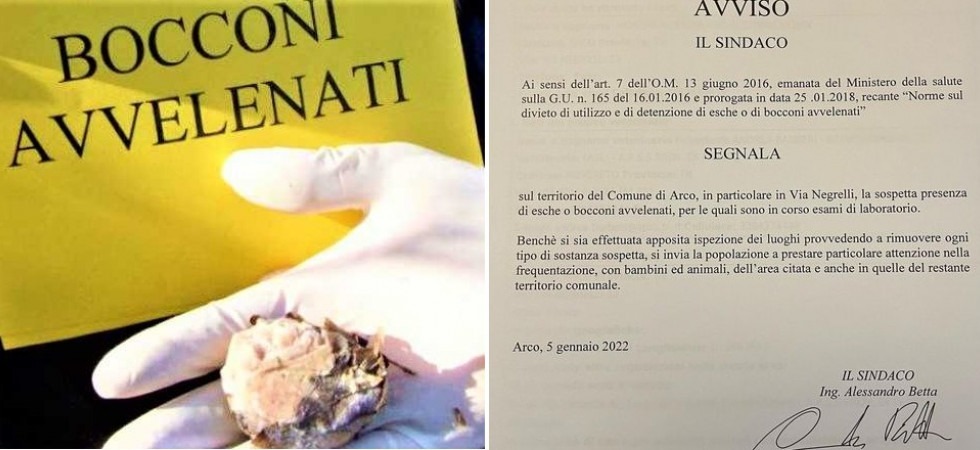 Bocconi avvelenati per strada, ad Arco l'allarme del sindaco Betta